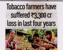 Tobacco-farmers-have-suffered-Rs-3300-cr-loss-in-last-four-years-MP08122017-381x1024